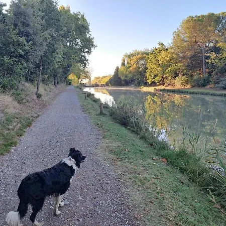 Le Nid Du Canal Holiday home